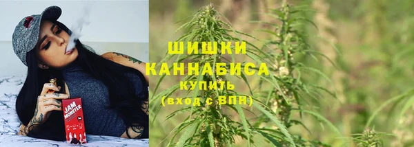 дурь Алзамай