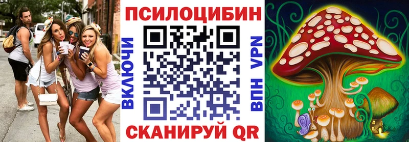 Псилоцибиновые грибы GOLDEN TEACHER  Саянск 