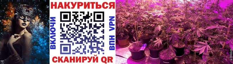 Бошки Шишки сатива  Саянск 